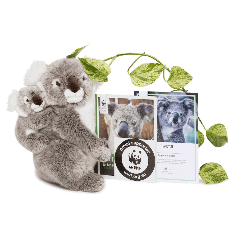 wwf product photography koala;
