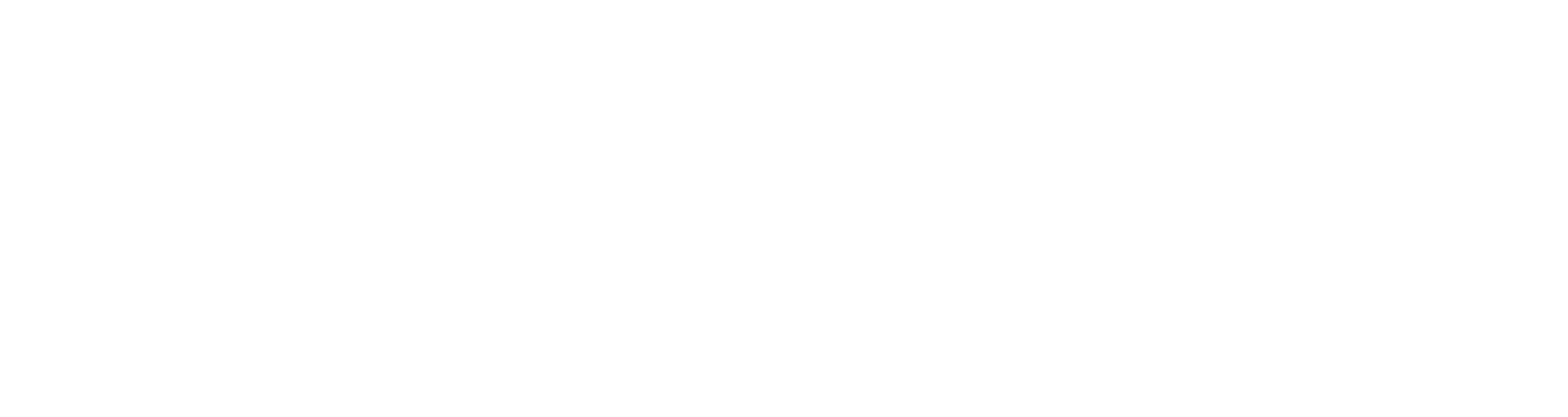 Salsify Logo